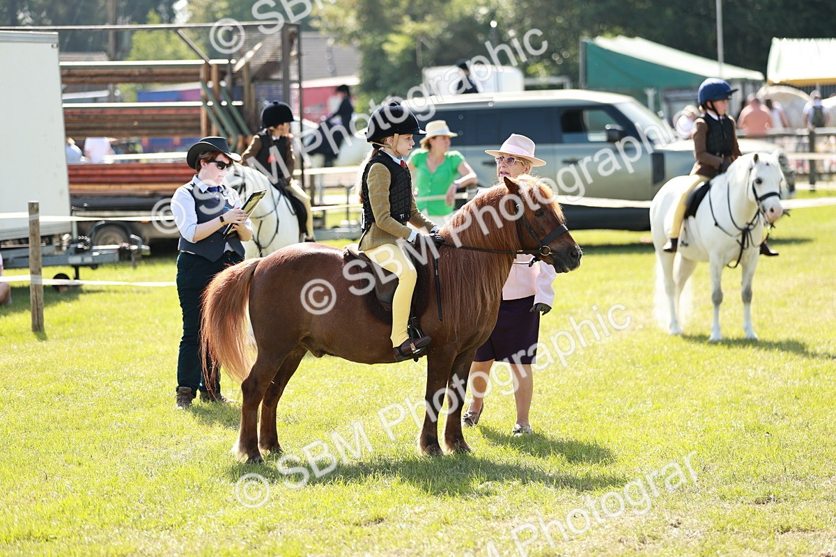 SBM_12721 - Class 106-107 - BSPS LIHS Working Sports Pony