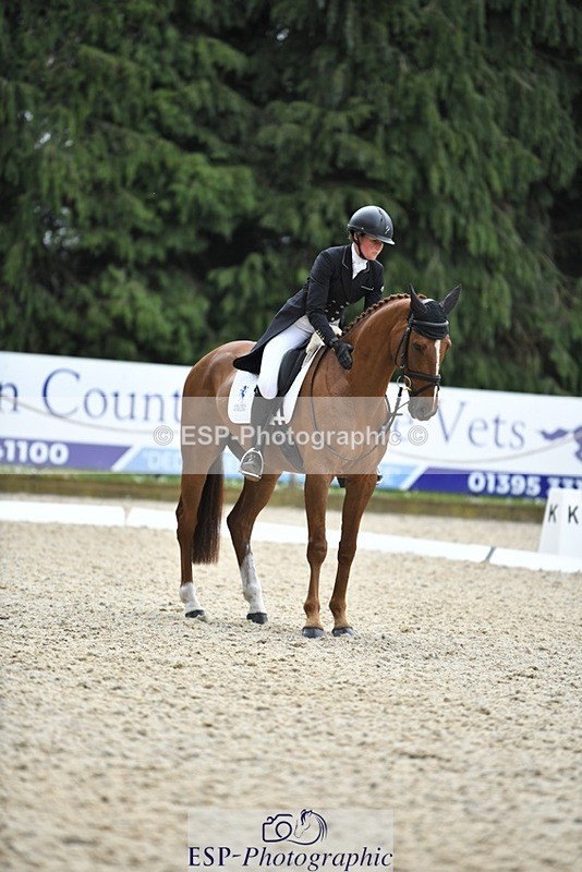 230525-130403-02093 - 113-I'M_A_WONDER-Rosie_Fry-WEDTrotUp+DR