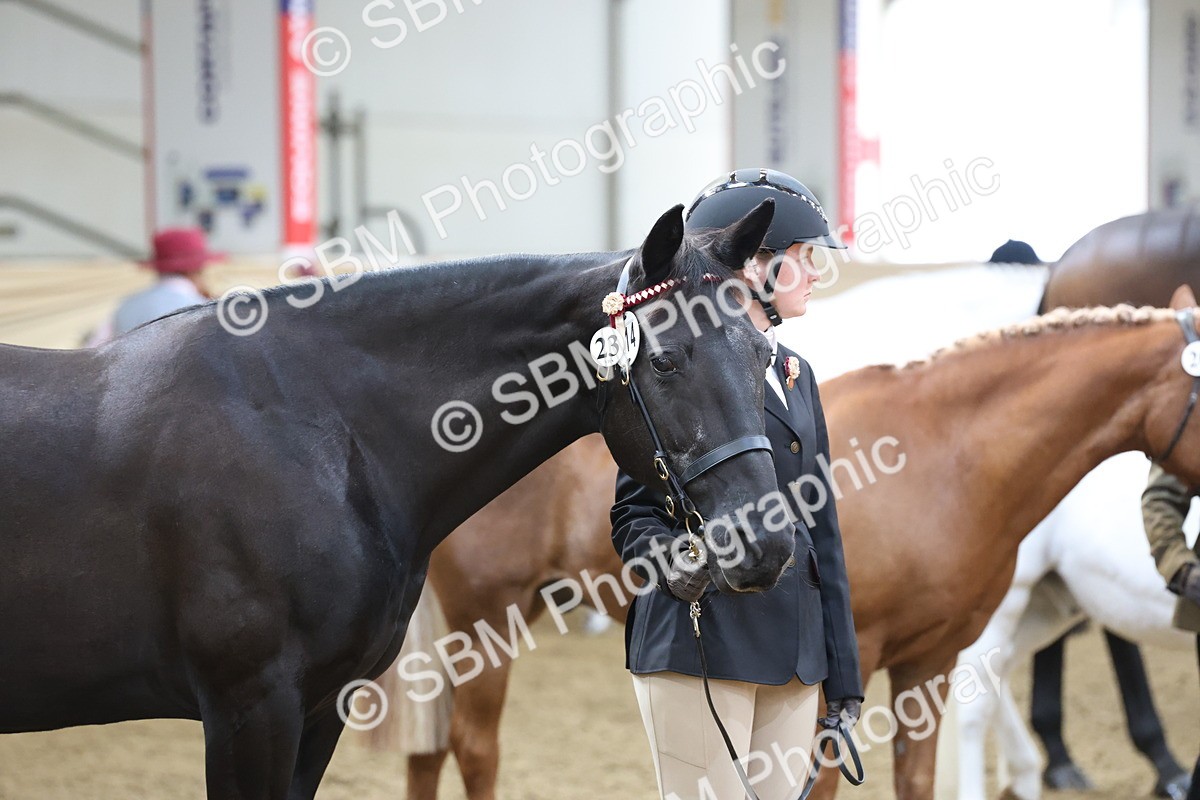 SBM_22498 - Class 902 - Supreme Final - IH Diamond