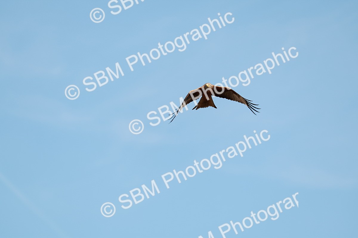 1I0A9473 - Class 7-8  - Elementary 1-PYO