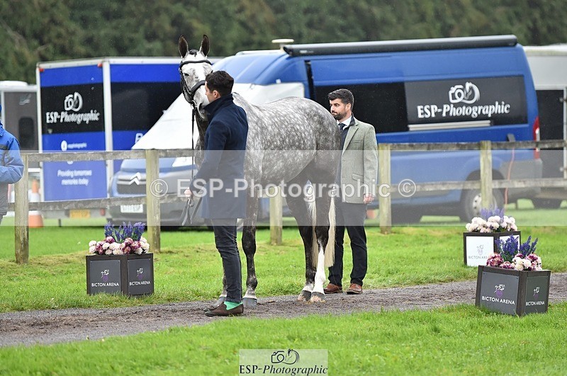 231018-122316-00250 - 032-COOLEY.ROCCO-Ben.Way-TrotUp