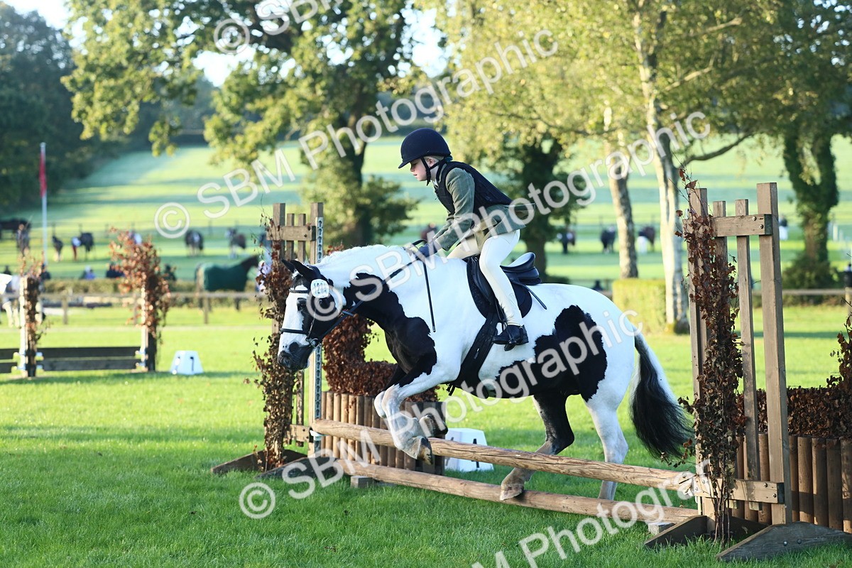 SBM_37142 - S29 - Novice & Newcomers Working Hunter Pony
