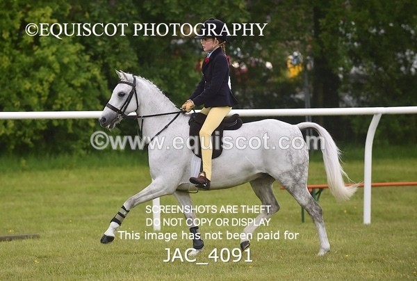 JAC_4091 - 40CM WORKING HUNTER