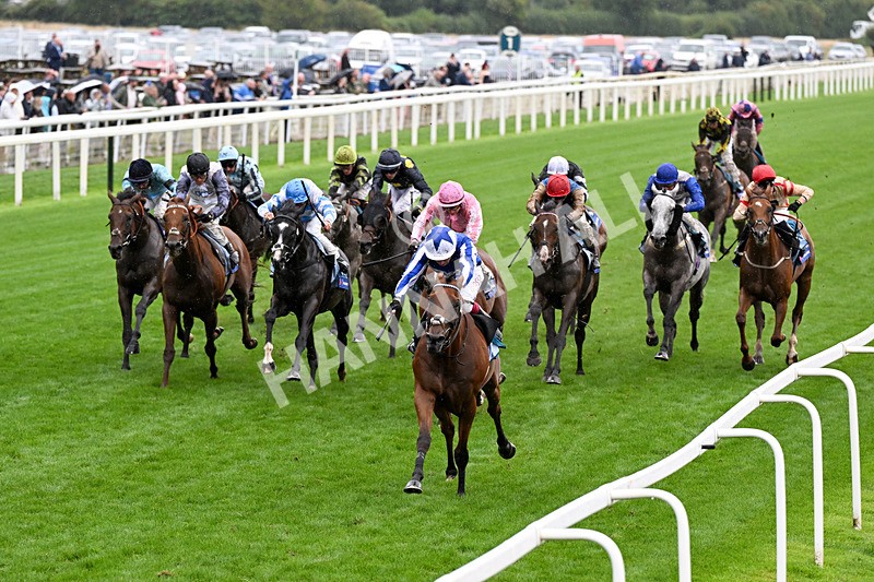 200826-Race 3-The Lost King-0429 - Race 3 15.00pm Sir Kevin Sinfield 7 In 7 Grand Finale Handicap