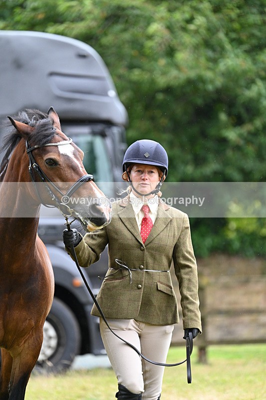 WJ7_6244 - Class 4a Prettiest Mare over 14hh