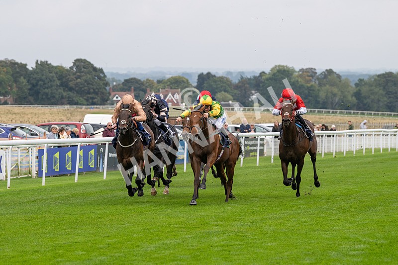 240924-Race 2-The Trickster-5912 - Race 2