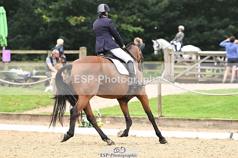 240811-115738-05654 - 241-Kathryn.Little-Quietly.Does.It