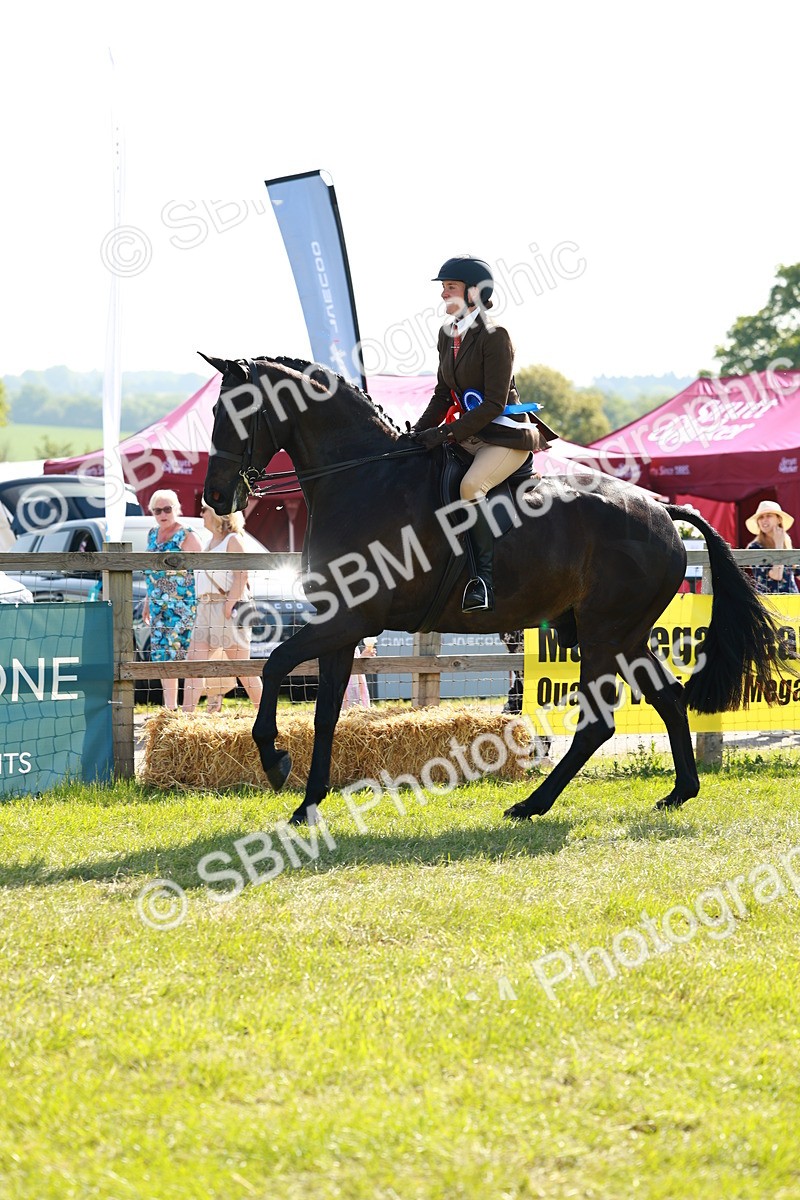 SBM_11991 - Class 66-69 - RIHS Ridden Hunters Inc Small Hunter