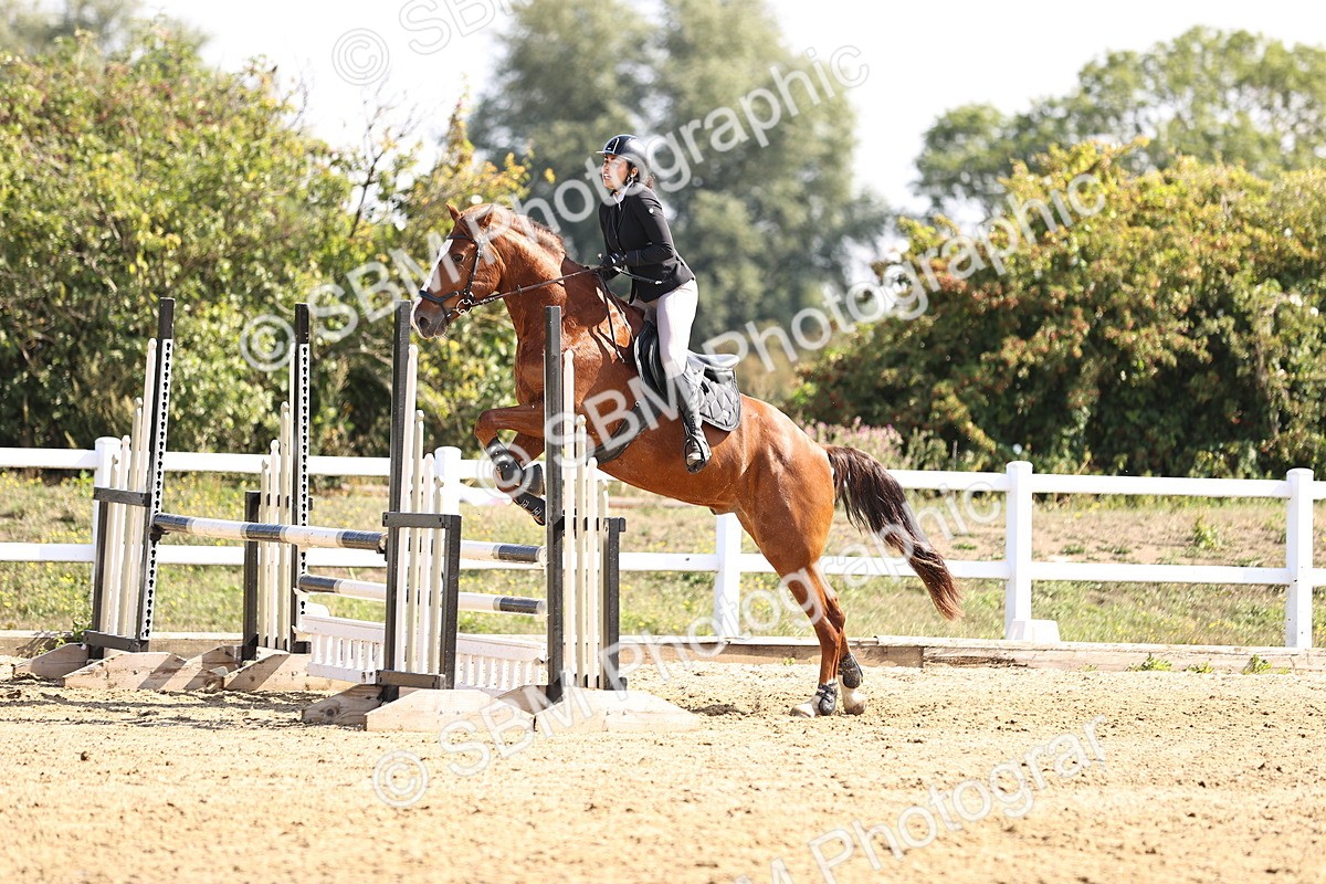 SBM_005758 - Class 9 - Senior British Novice - 90cm