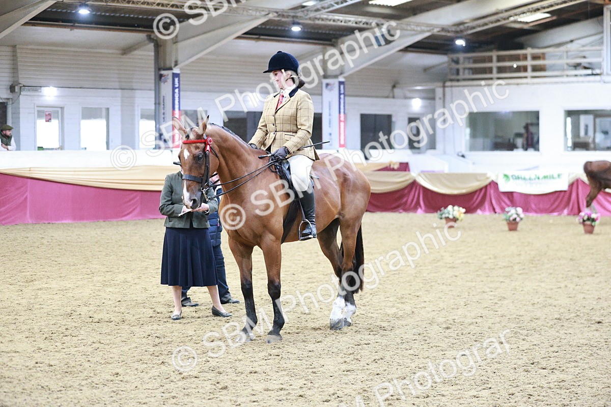 SBM_08174 - Class 11R - Regional Ridden Veteran