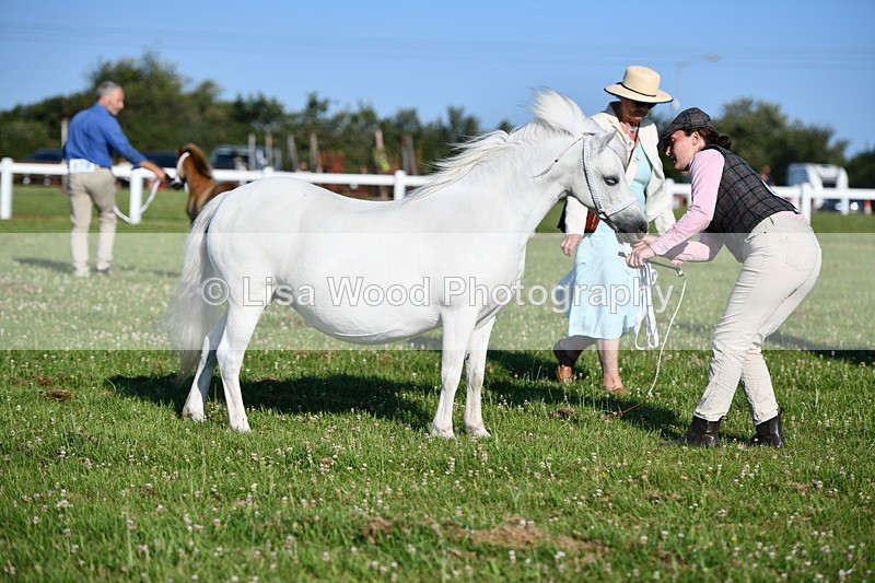 DSC_5249 - Classes 47 & 48: NPS M&M Brood Mare and Foal