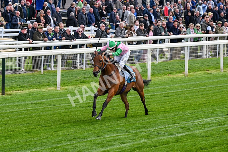 140526-Race 2-Jakajaro-0078 - Race 2 2.20pm Lindum York Handicap