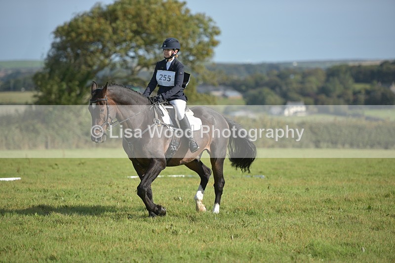 RAY_7473 - Class 2B: Trekenning Open: Dressage