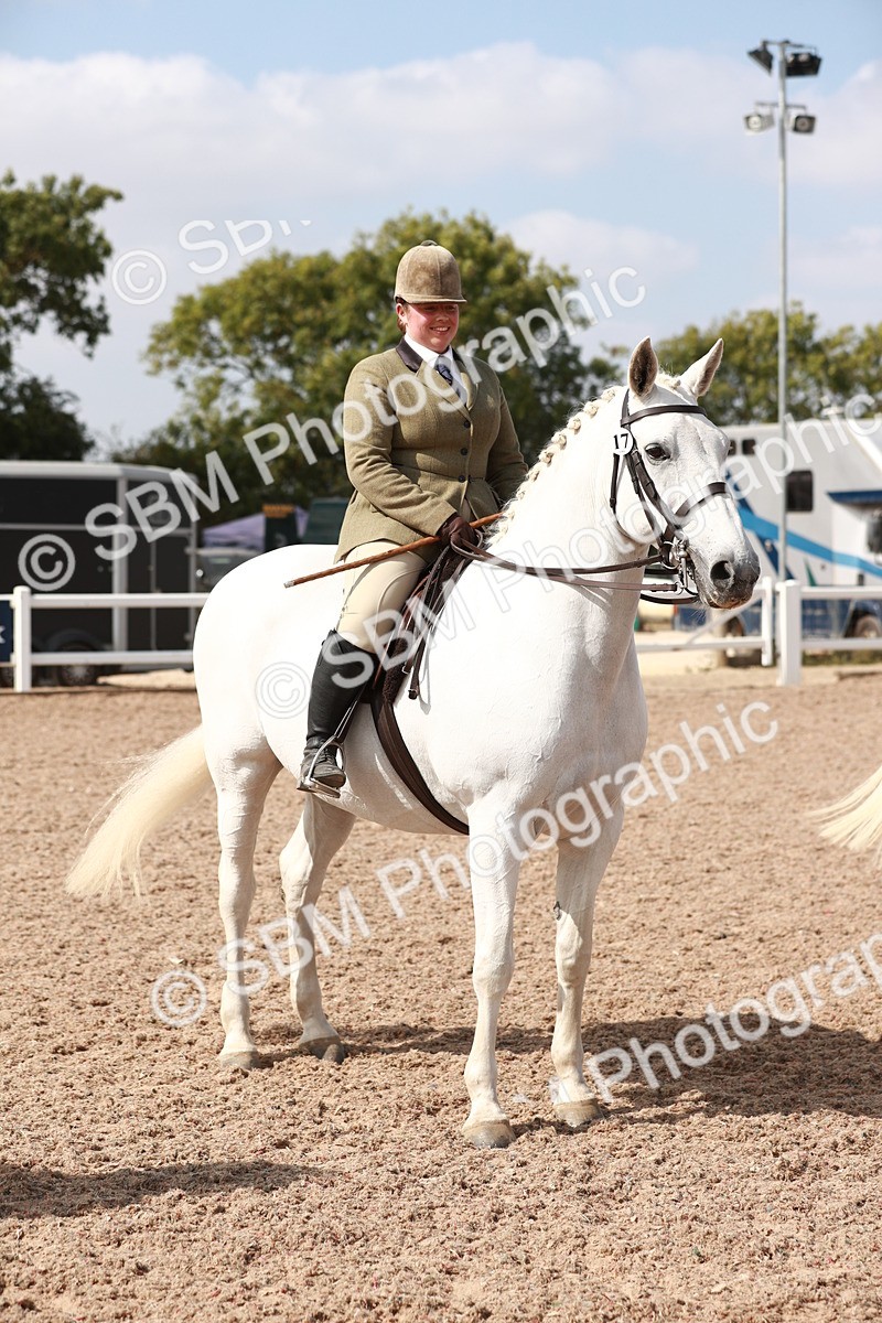 SBM_14867 - Class 212 Ridden Hunter - Small