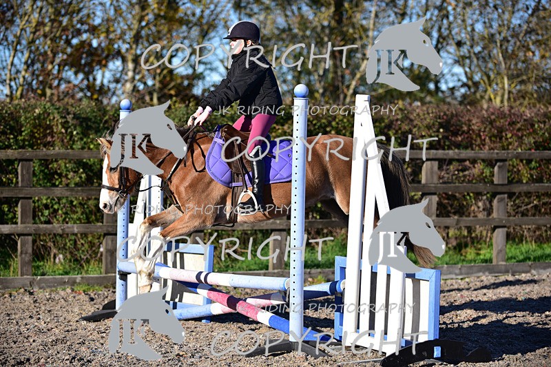 SBP_1208 - 11am - 12pm