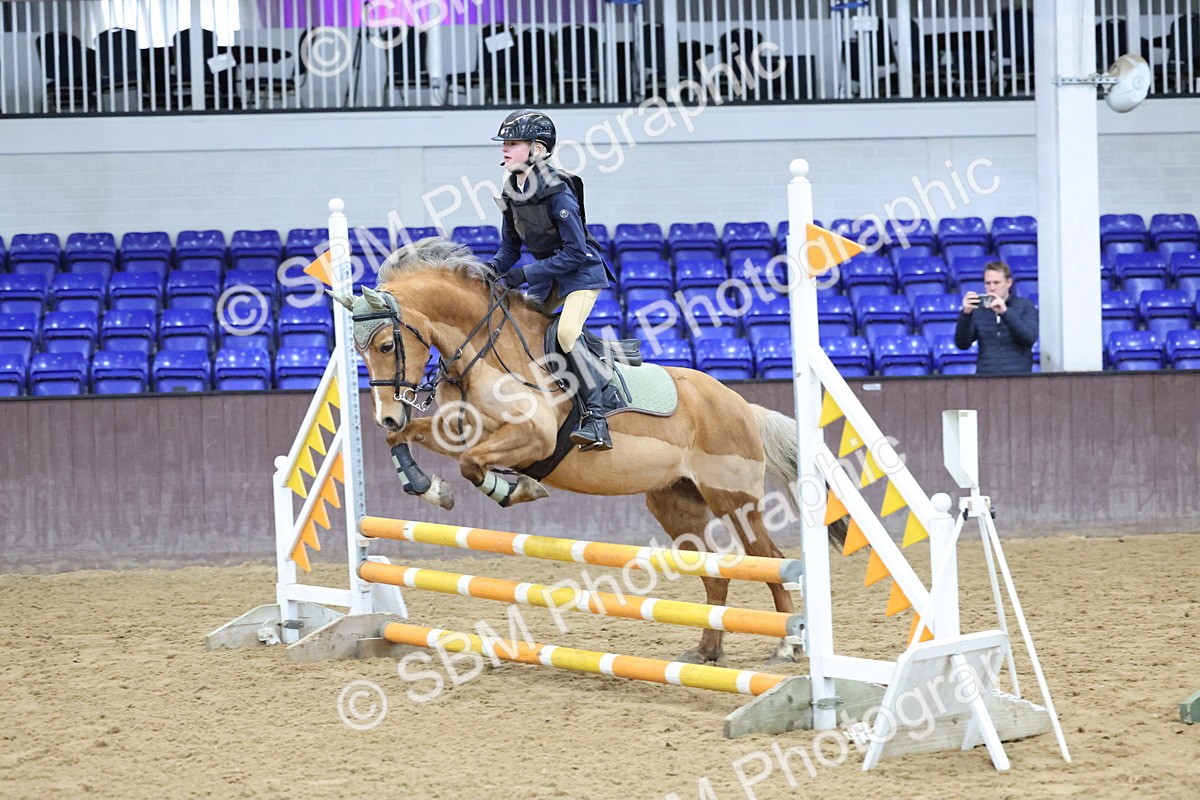 SBM_001001 - Class 3 - Christmas Tree Stakes - 60cm