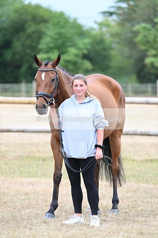 WJ7_9869 - Class 5a Most Handsome Gelding (above 14.2hh)