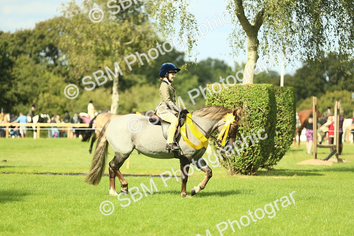 SBM_44890 - Working Hunter Pony Supreme Championship
