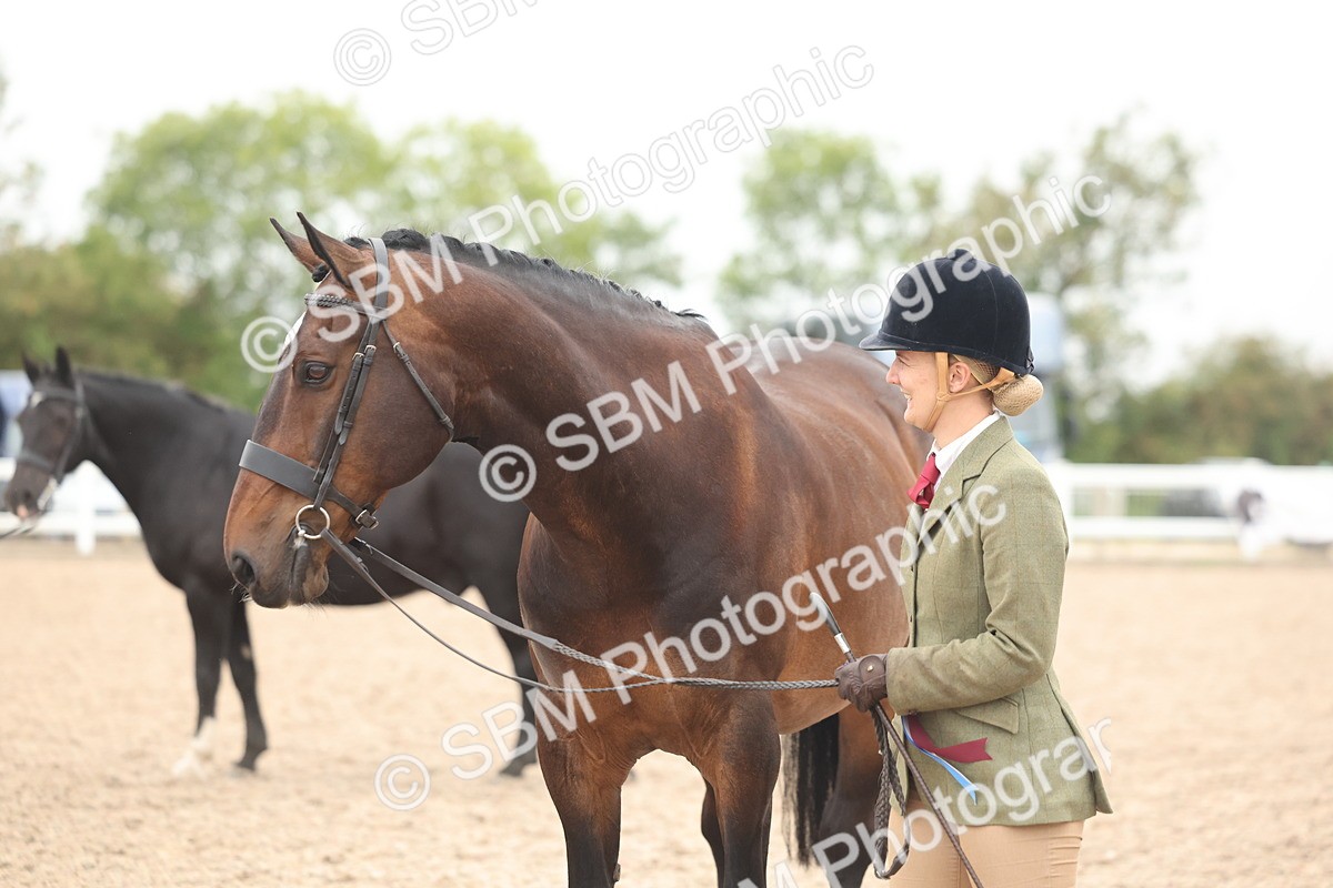 SBM_19894 - Class 318 - IH Part Bred Horse-Pony