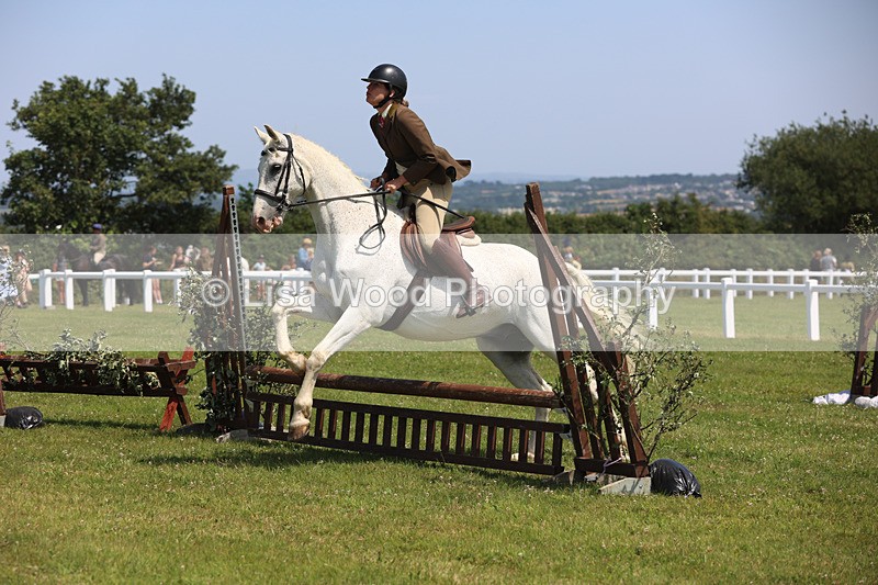 JPP_2682 - Class 21: Working Hunter 60cm