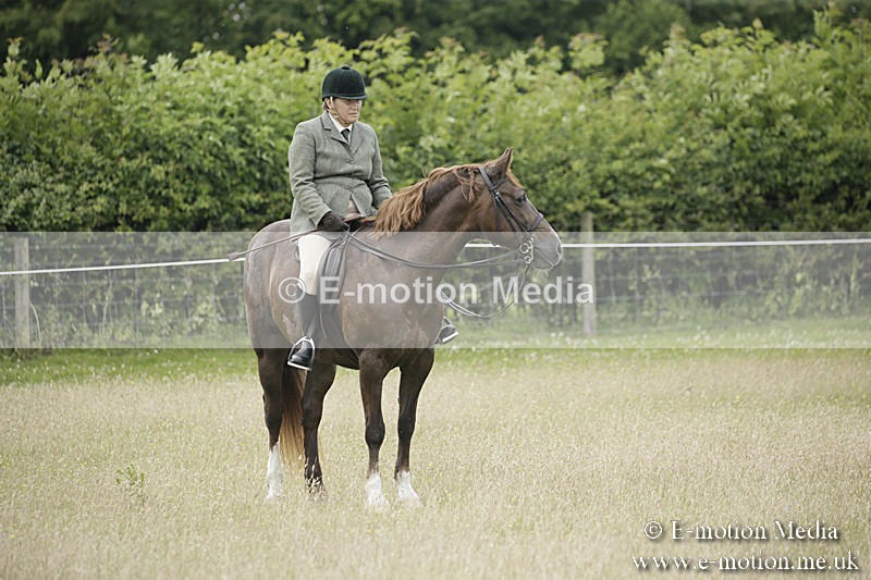 B230619-0517 - Bourne Valley Riding Club Summer Show 23/06/19