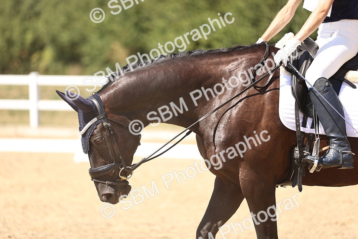 SBM_005521 - Elementary 4 Warm Up