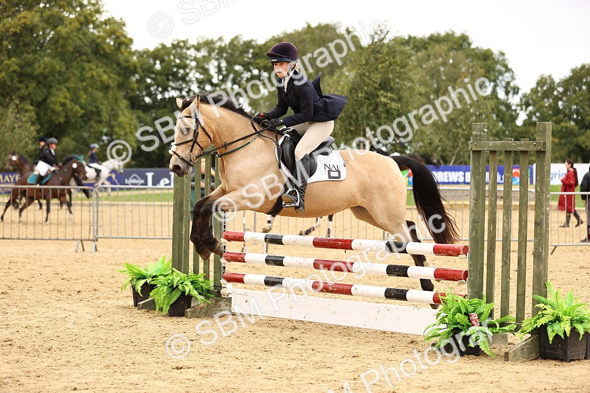 SBM_66554 - J17 - Junior Pony 80cm Championship