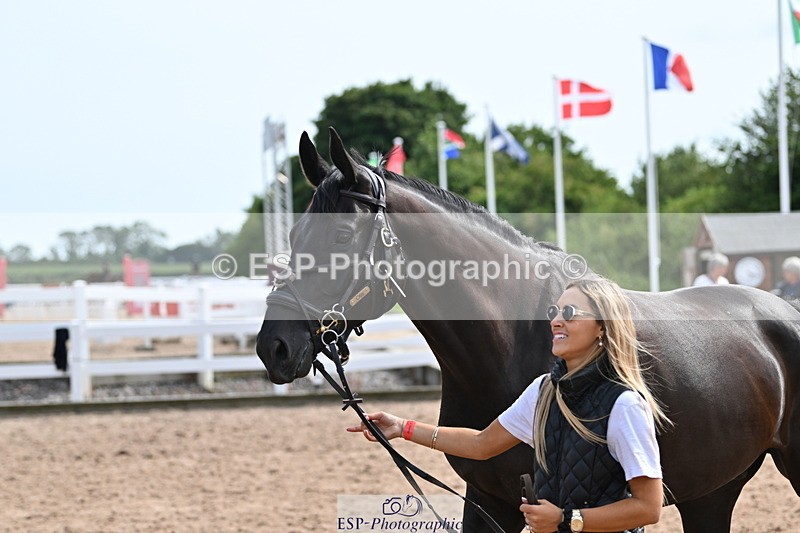 240717A-161639-03405 - Trot Up 4pm to 5pm