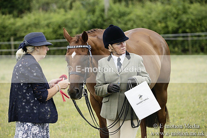 BVR160717-243 - Ring 2 BVRC Show 16/07/17