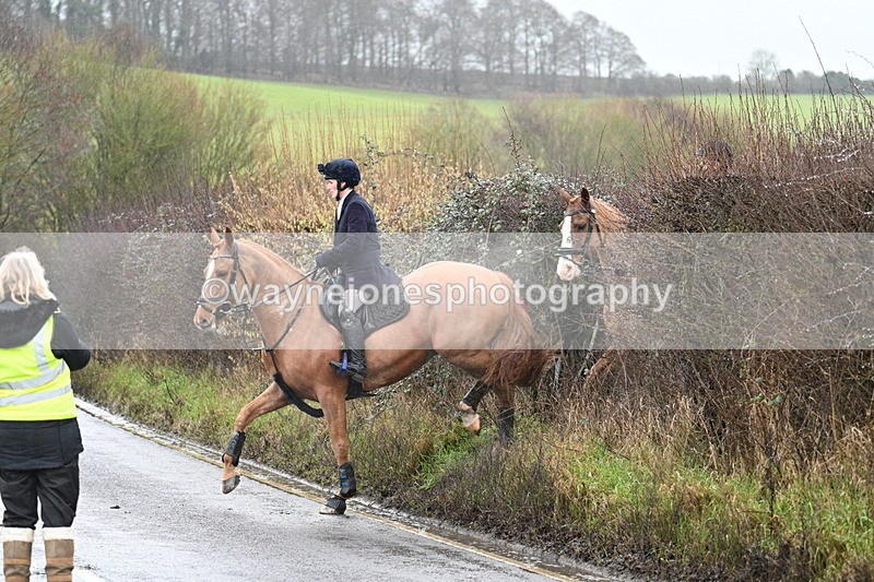 WJ7_6951 - Crossing A Camera