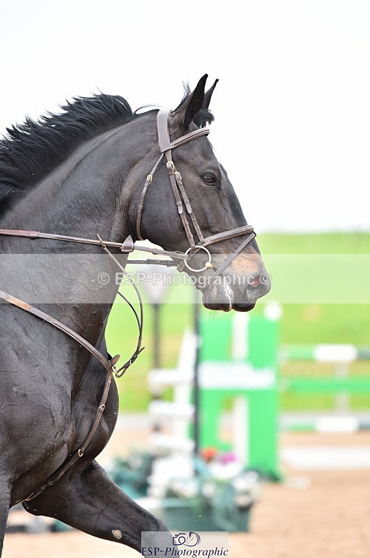 230507A-125846-07880 - Cls 47 Newcomers