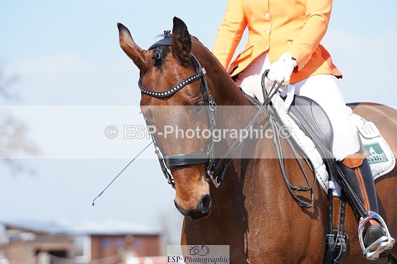 250403-121018-01833 - 038-Tyler.Bradshaw-Mexx