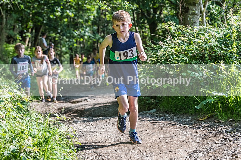 Latrigg Junior-14 - Round Latrigg Junior Fell Races Wednesday 11th June 2025