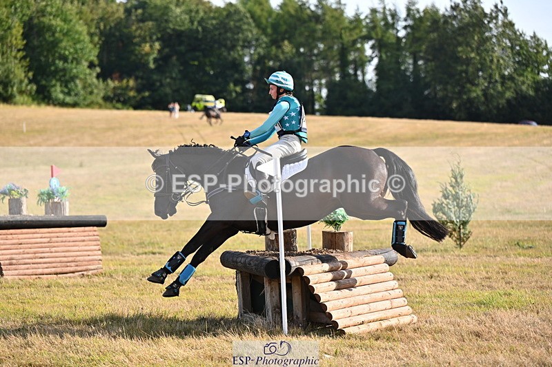 250803A-175717-18196 - S-869-Alice.Lamming-THE.DARK.HORSE.I