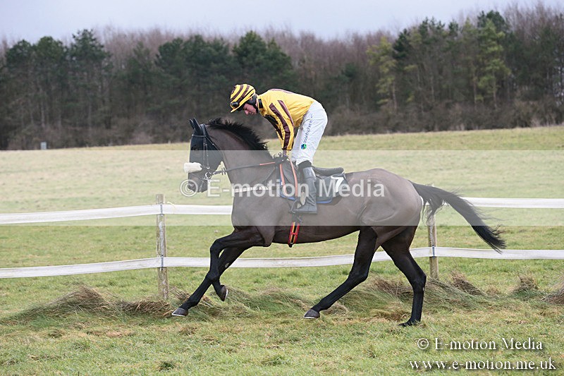 PtP 230119 139 - Royal Artillery Point-to-Point  - Larkhill  - 26/01/19