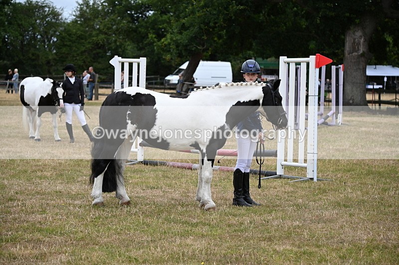 WJ6_4385 - Class 10 Coloured In-hand