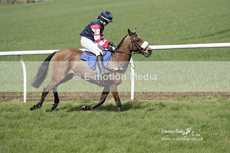 PtP PR 100423 241 - Pony Racing Lockinge 100423