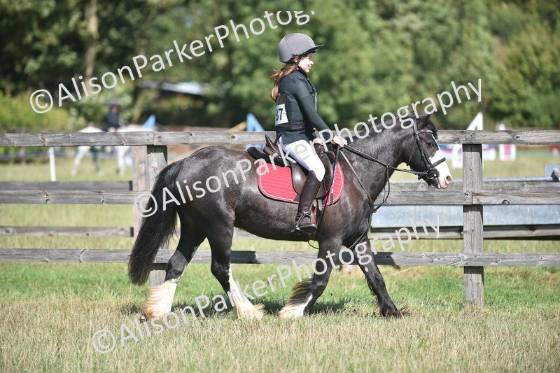 20260906-1692 - Class 9 - Absolute Novice Jumping 45cm