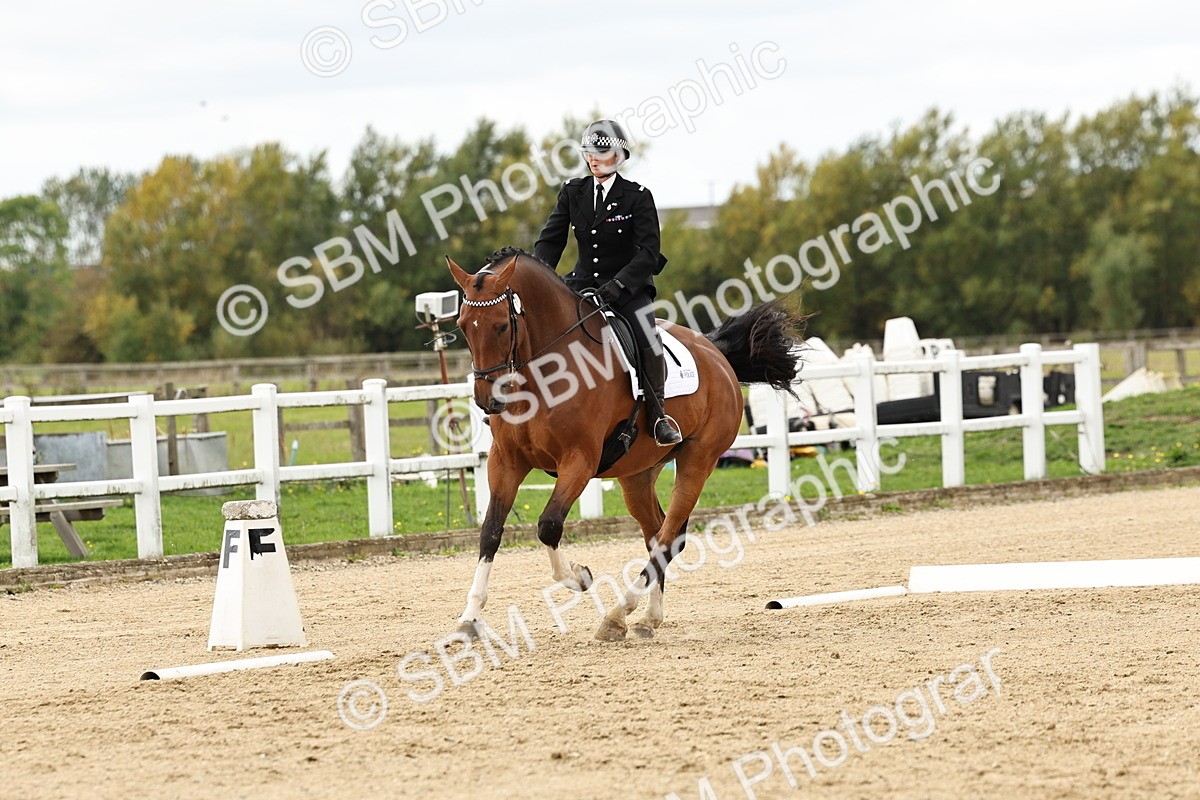 SBM_004520 - Class 69 - Novice 2