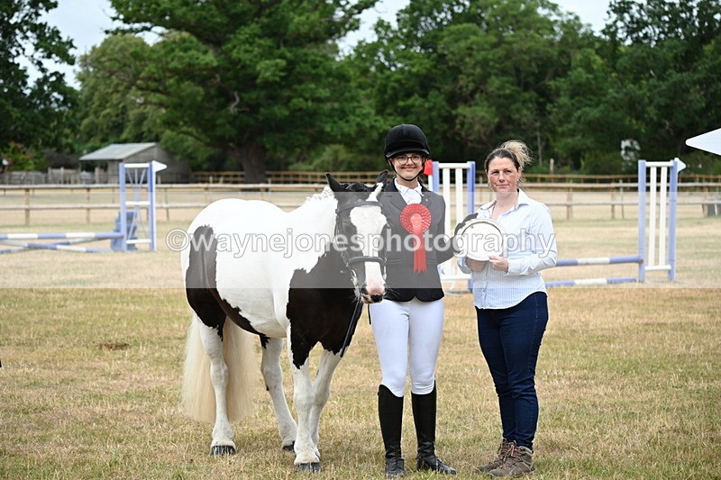 WJ6_4433 - Class 10 Coloured In-hand