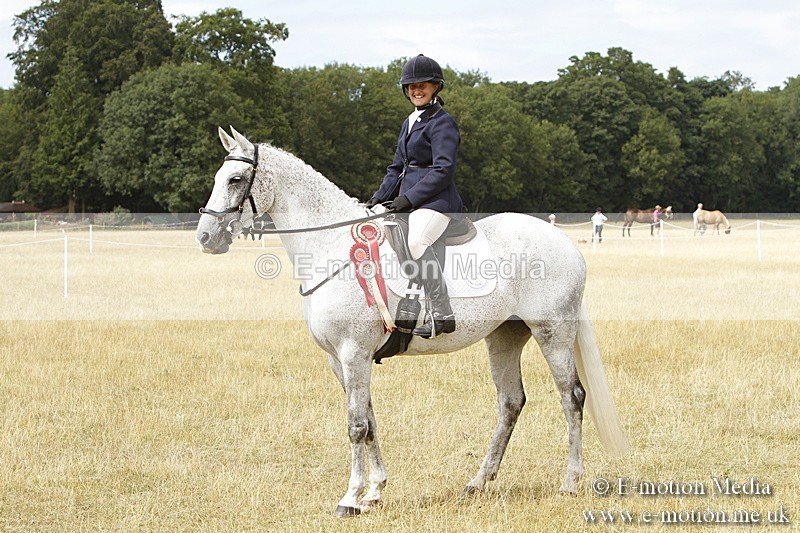 _BS_1021 - Working Hunter Championship BVRC Show 2018