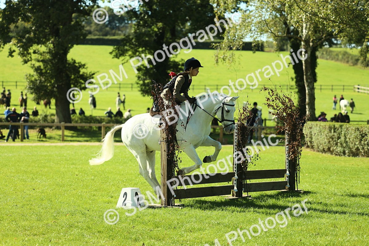 SBM_37499 - S29 - Novice & Newcomers Working Hunter Pony