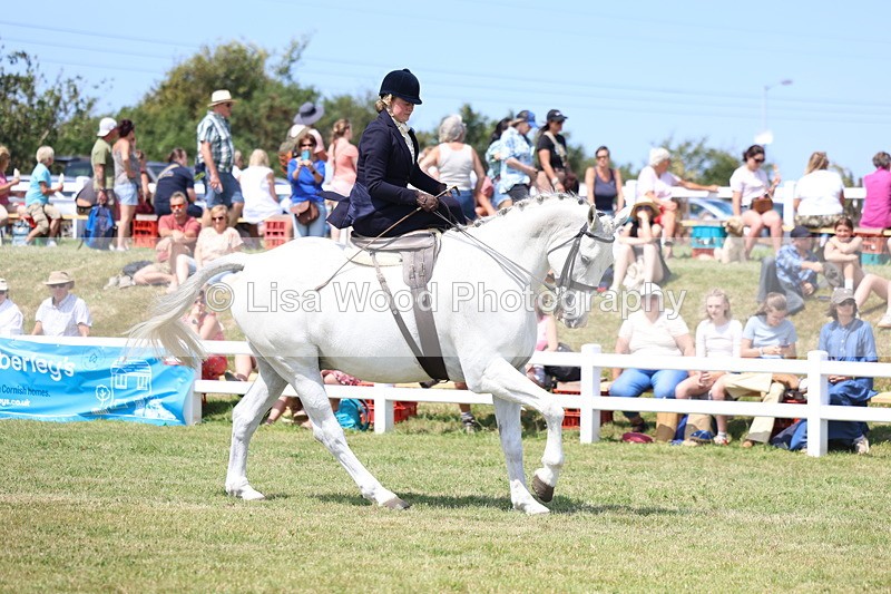 3E7A9767 - Class 13: Side Saddle