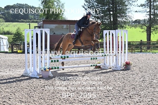BPP_2055 - CLASS 1  FRI Club 80cms Open