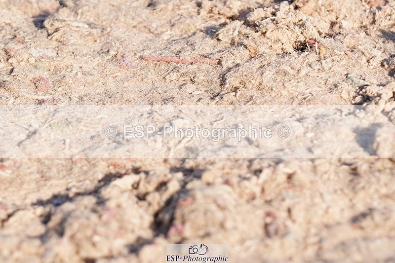 250510-181522-12421 - Cls 18 Chard Eq Derby