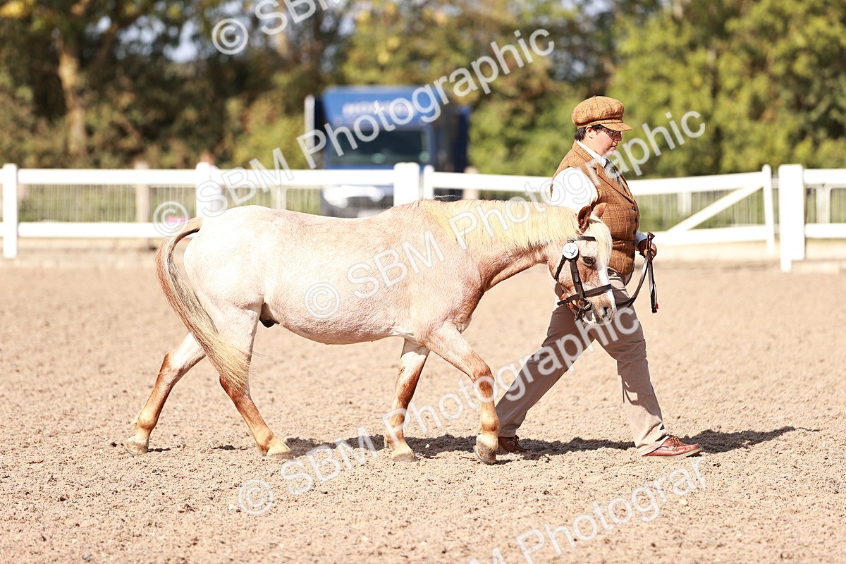 SBM_22870 - Class 706 - IH Veteran