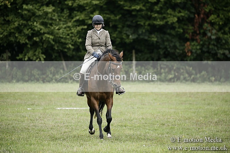 BVR090918 49 - BVRC Dressage and Show Jumping 09/09/18