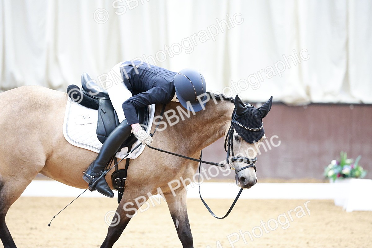 SBM_017248 - Class15 - FEI Pony