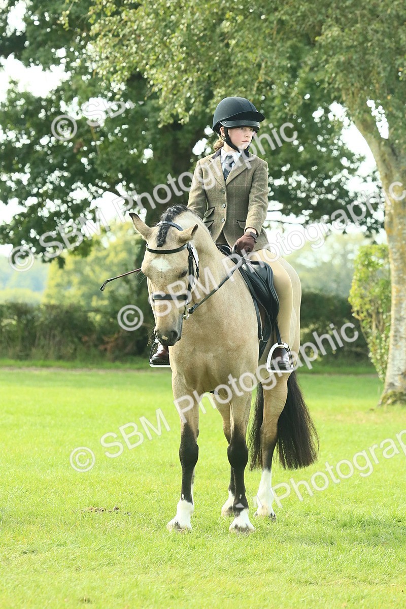 SBM_67565 - S56 - Coloured Pony Ridden