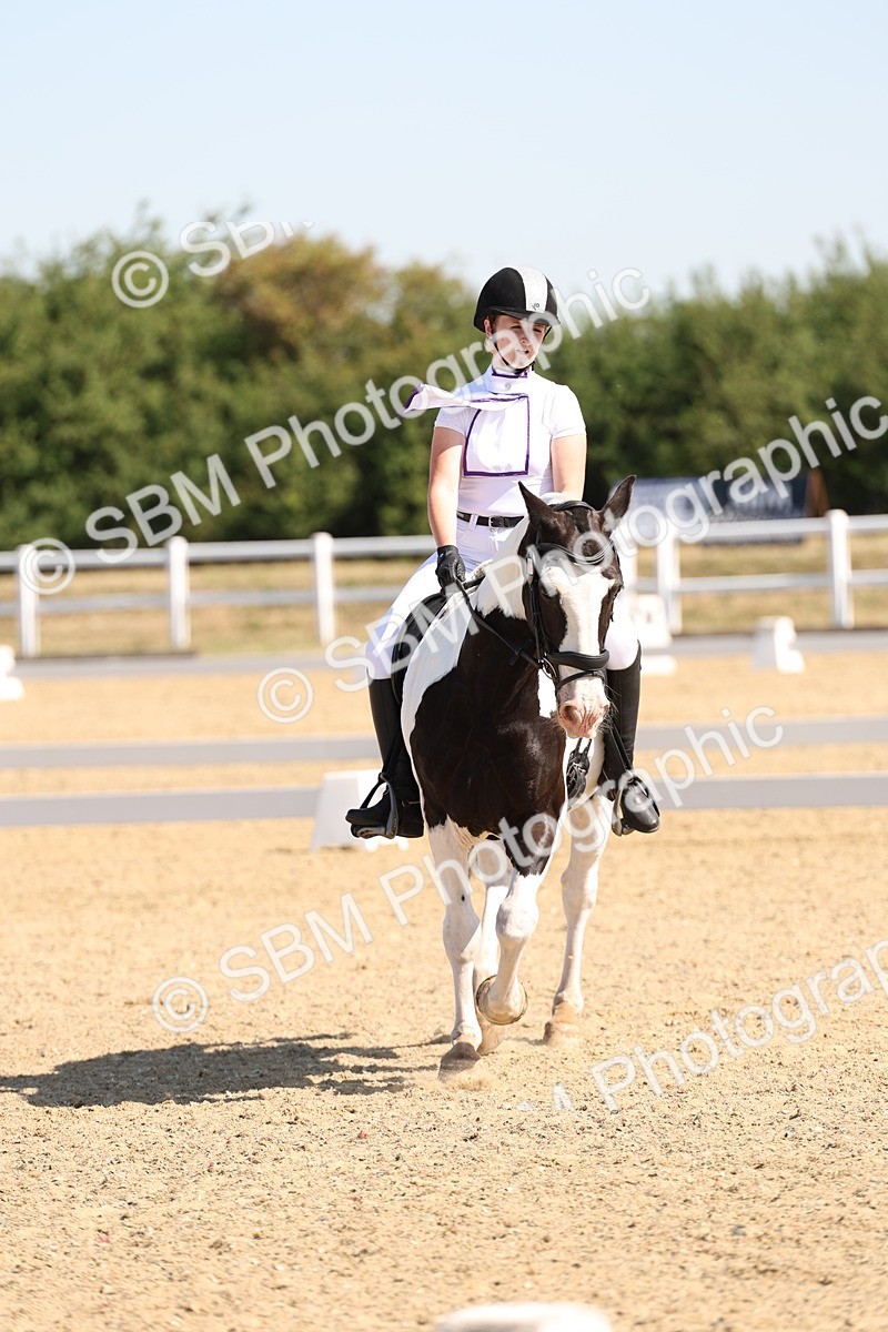 SBM_001002 - Intro 2